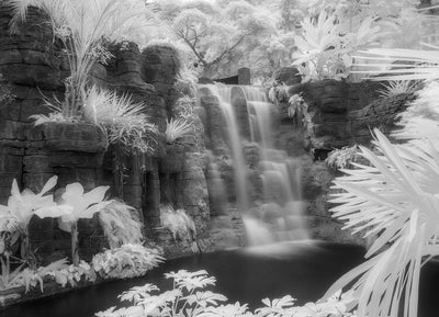 Infrared Photography with Bob Coates