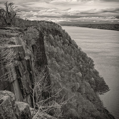Palisades Nosedive with Larry Tiefenbrunn