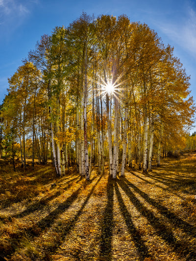 Fall Foliage and Leading Lines with Bob Coates