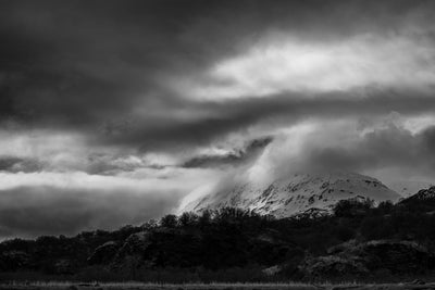 The Trifocal Challenge with Moose Peterson
