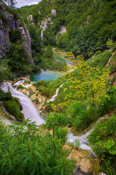 Platypod in Plitvice