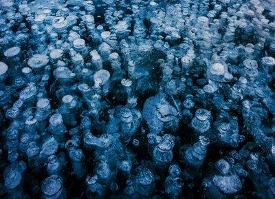 Ice Bubble Magic with Dave Williams