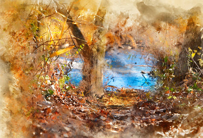 A "Window of Nature" with Chamira Young