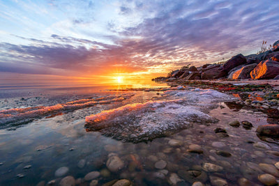 Showcasing Nature's Stunning Beauty and a Great Cause