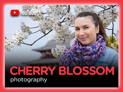 Cherry Blossom Photography with Riley Arthur