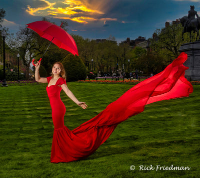 Rick Friedman Lights It Up in the Boston Public Garden