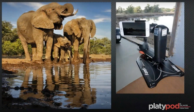 Platypod for Wildlife Photography - Educational Video!