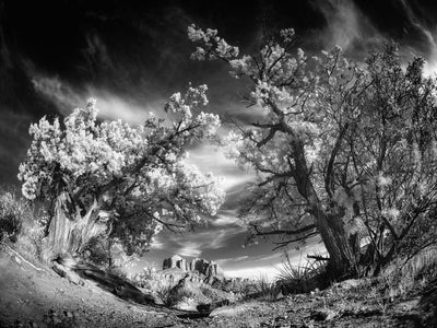 Infrared Plus Low Angle with Bob Coates and his Platypod Ultra