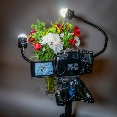 Macro Photography with the Platypod Max Kit - Bob Coates